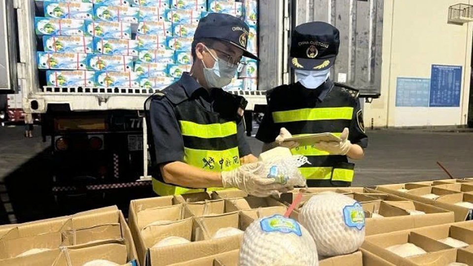 First batches of Vietnam’s fresh coconuts arrive in China